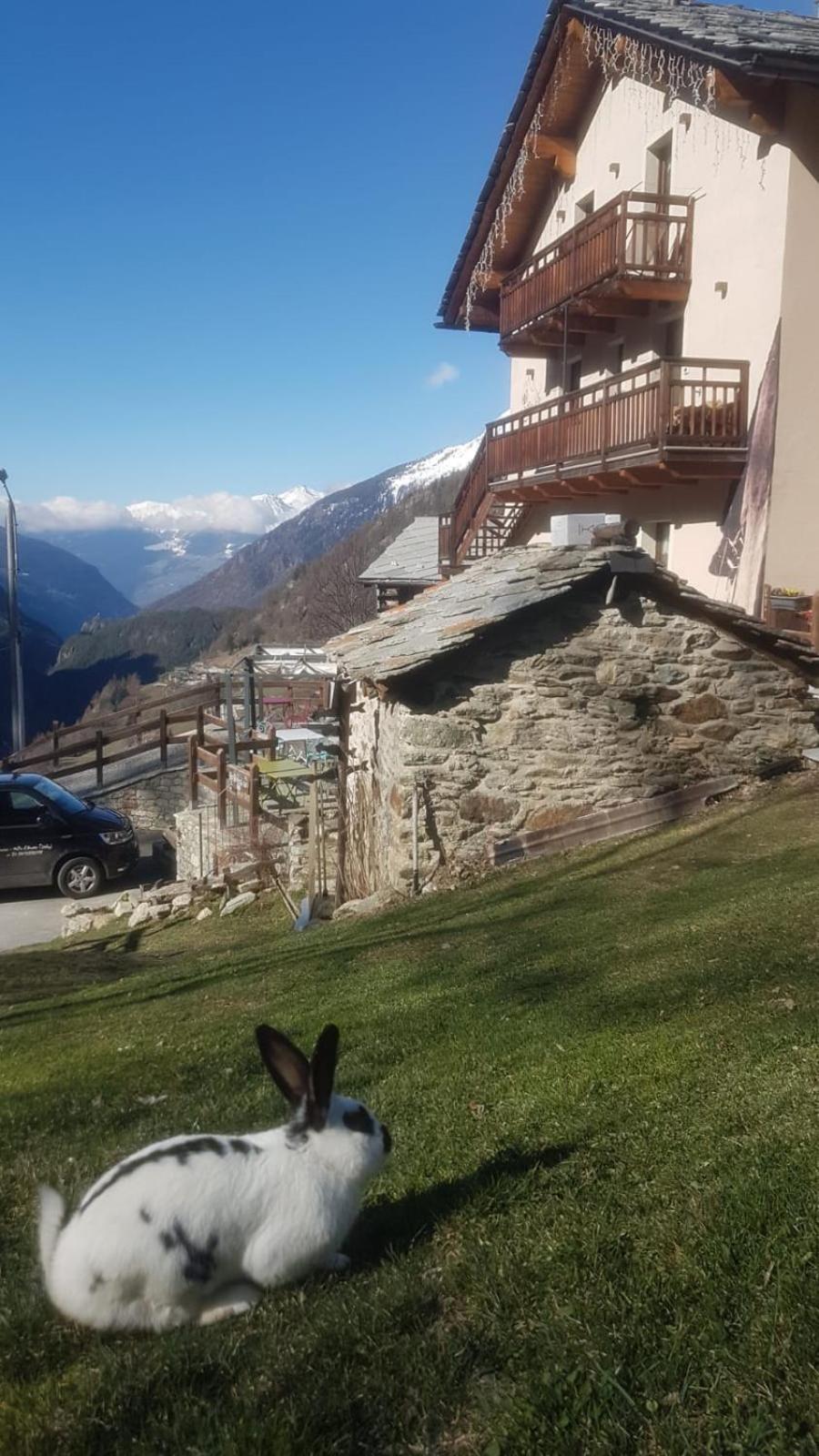 Alpe Rebelle Bed & Breakfast Bionaz Luaran gambar
